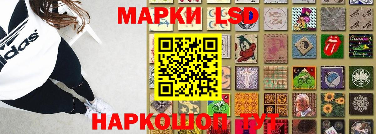 блэк спрут tor  Вход с VPN  Лсд 25 экстази кислота  Курганинск  Лсд 25 экстази кислота 