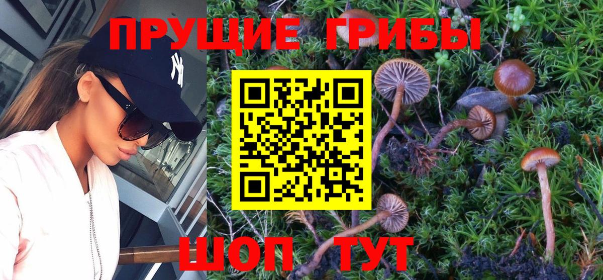 Галлюциногенные грибы прущие грибы  Галлюциногенные грибы мицелий  Курганинск  Вход с VPN 