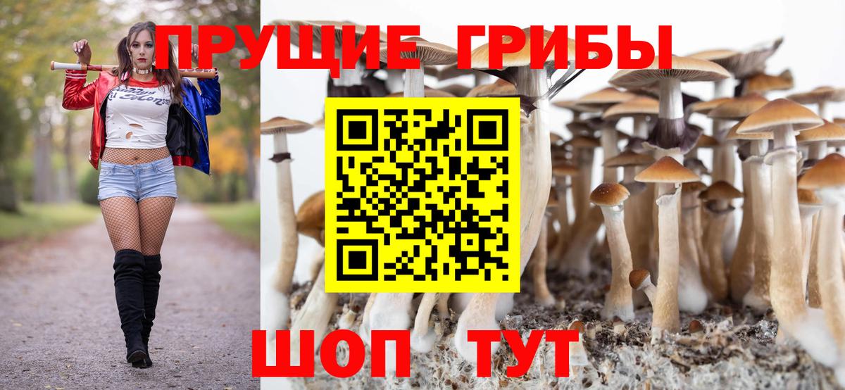 Псилоцибиновые грибы GOLDEN TEACHER Курганинск